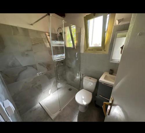 een badkamer met een douche, een toilet en een wastafel bij 10 min de Monaco petite maison avec jardin vue mer et rocher de Monaco in La Turbie