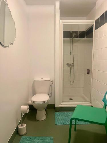 une salle de bain avec toilettes et douche dans l'établissement Le Diamant Chambrés, à Mauprévoir