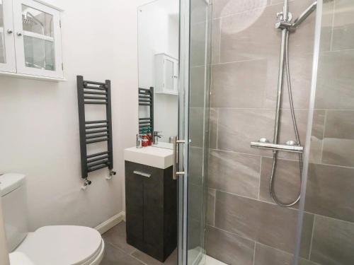 a bathroom with a shower with a toilet and a sink at THE Beach House in Prestatyn