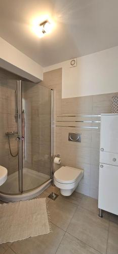 a bathroom with a shower and a toilet and a sink at Apartman Doris in Dramalj