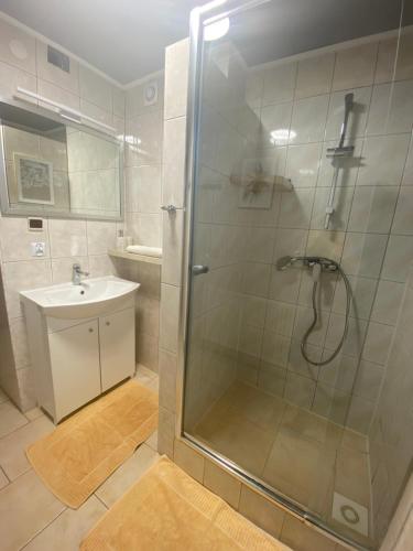 a bathroom with a shower and a sink at Polana in Lipowiec