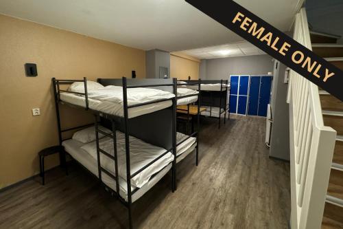 a row of bunk beds in a dorm room at Xplore Hostel Amsterdam in Amsterdam