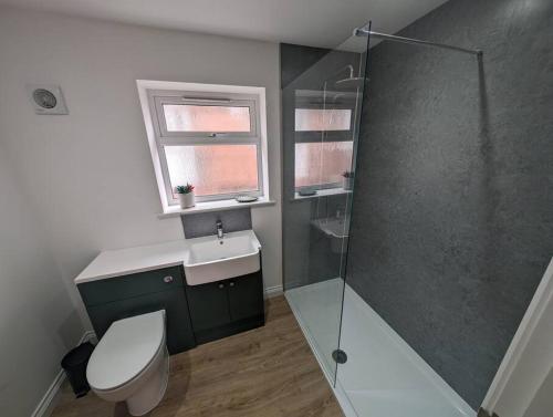 a bathroom with a shower and a toilet and a sink at Clovelly Rise in Lowestoft
