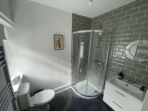a bathroom with a shower and a toilet and a sink at Golden Triangle Townhouse in Norwich
