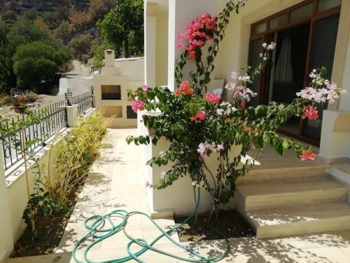 un tuyau de jardin sur le côté d'une maison avec des fleurs dans l'établissement Genç Apart, à Muğla