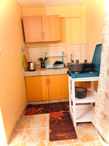 eine Küche mit einer Spüle und einer Theke in der Unterkunft Haven homes in Kiambu