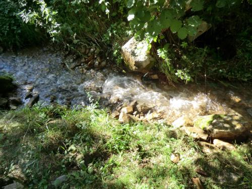 a stream of water in a field with grass at Holiday Home Minja in Kopaonik