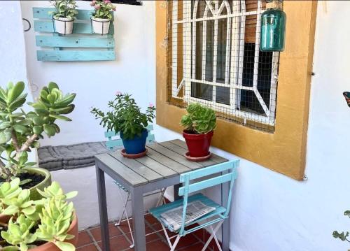une table avec des plantes en pot à côté d'une porte dans l'établissement Placer sevillano On the Glory, à Séville