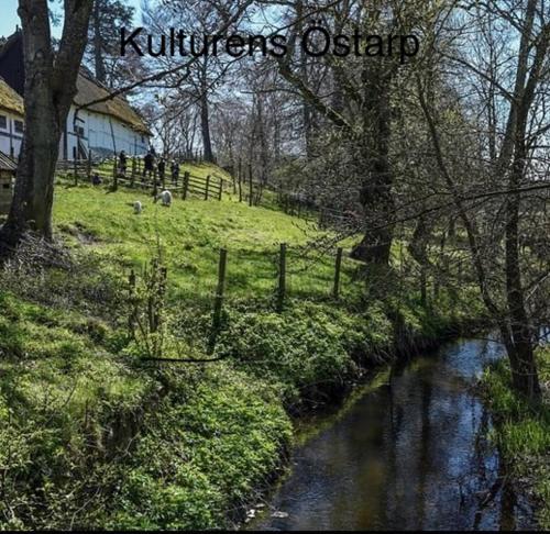 a creek in a field with a fence and a house at Mysig ministuga på privat läge landet in Blentarp