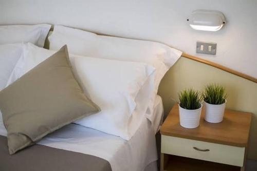 een bed met twee potplanten op een nachtkastje bij Hotel Mamy in Rimini