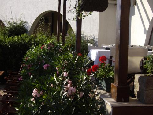 a group of flowers in a garden at Relaks w Marina Cape 88 in Aheloy