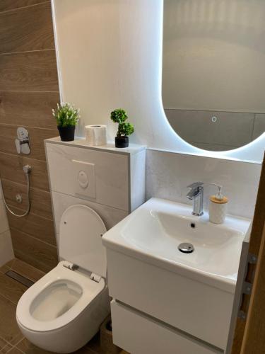 a bathroom with a toilet and a sink and a mirror at Konjic Lakeside Resort in Konjic