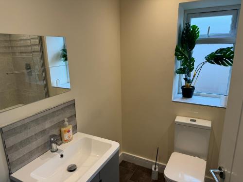 łazienka z umywalką, toaletą i oknem w obiekcie Bath road villa w mieście Keynsham