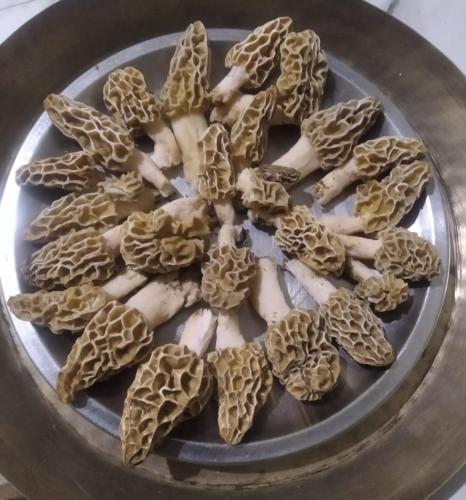 a plate of food with someooked mushrooms on it at Shephard cheminee in Pālampur