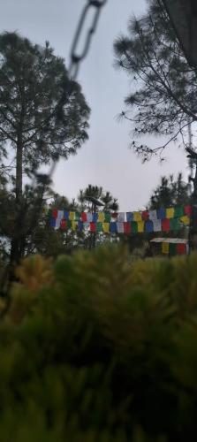 a blurry picture of a colorful banner with trees at Shephard cheminee in Pālampur