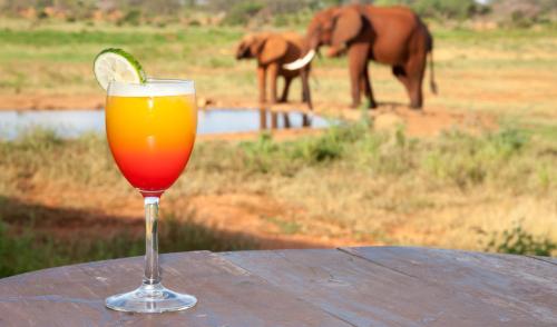 a glass of orange juice on a table with an elephant in the background at Elephant lodge in Kwa Kuchinia