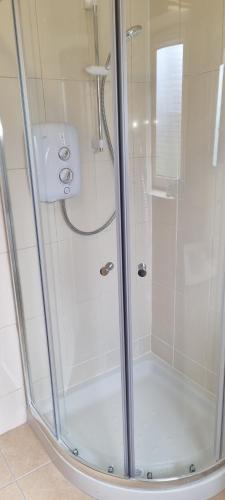 y baño con ducha y puerta de cristal. en Pinewood Lodge en Cork