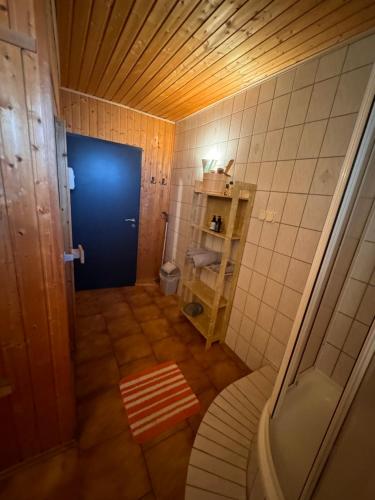 a small bathroom with a blue door and a toilet at Ferienwohnung beim Pferdehof in Neuenstein