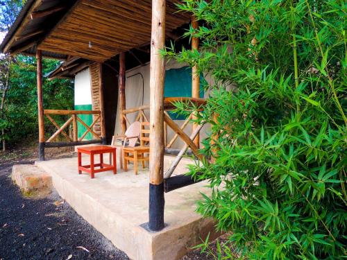 Galeriebild der Unterkunft Mutanda Eco Community Center in Kisoro