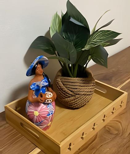 a wooden box with a potted plant on a table at Flat 01 · Flats Japaratinga1- 200m da praia cozinha completa in Japaratinga