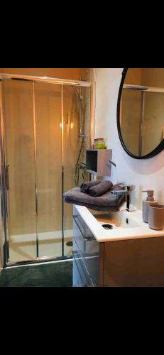 La salle de bains est pourvue d'une douche et d'un lavabo avec un miroir. dans l'établissement Studio cosy dans l’Esterel proche Mer, à St Jean de l’Esterel