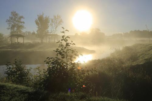 a misty sunrise over a pond with a gazebo in the background at Pensjonat Bajdarka in Suraż