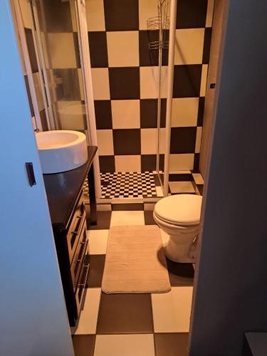 a small bathroom with a toilet and a sink at The V8 House in Sutherland