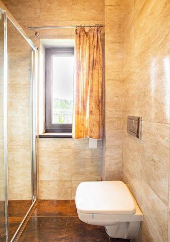 a bathroom with a toilet and a window at Hereczówka in Laskówka