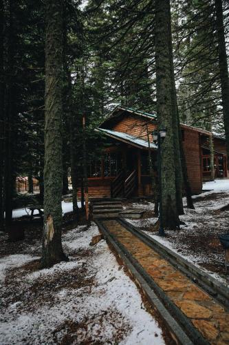 a log cabin in the woods with snow on the ground at Karinna Orman Evleri & Non Alcohol in Uludag
