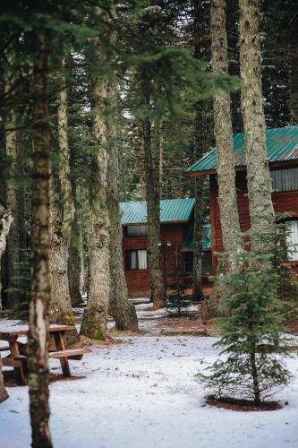 a cabin in the middle of a forest with trees at Karinna Orman Evleri & Non Alcohol in Uludag