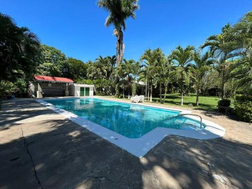 een zwembad in een tuin met een palmboom bij Villa 8 personas in Puntarenas