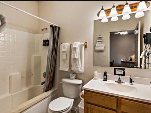 a bathroom with a sink and a toilet and a mirror at Cabin 3 at Southfork Lodge- Sleeps 2 in Lowman
