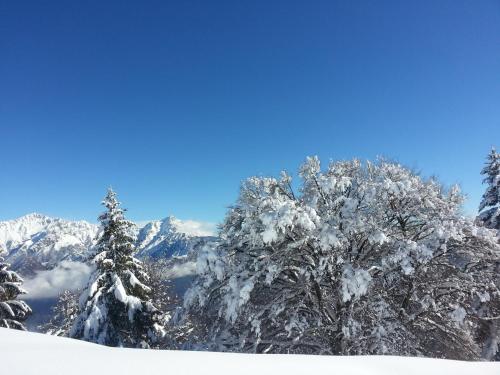 a group of trees covered in snow on a mountain at Villa Chalet Bellagio Panorama in Bellagio