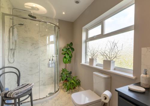 a bathroom with a shower and a toilet and a window at Little Oldbury in Hevingham