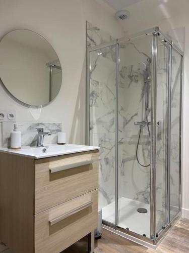 une salle de bain avec une douche, un lavabo et un miroir dans l'établissement *CASA Mendoza*, à Cholet