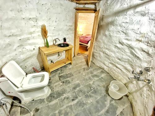 a bathroom with a toilet and a sink and a mirror at Spiti Eco Domes in Kaza