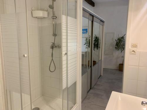 Koupelna v ubytování ApartHotel Riviera - Cocon de Gilly - Old Town Promenade des Anglais