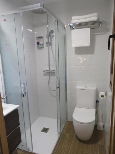 La salle de bains est pourvue d'une douche et de toilettes blanches. dans l'établissement Martín Taberna, à Villavieja del Lozoya