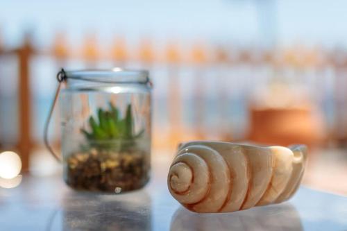 a glass jar with a small plant in it next to a vase at Spot on the sea in Archangelos