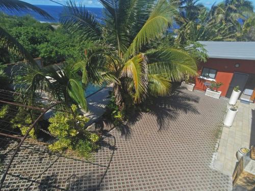an overhead view of a courtyard with palm trees at Loc974 Les Cocotiers in Saint-Leu