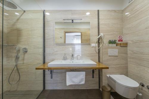 La salle de bains est pourvue d'un lavabo, d'une douche et de toilettes. dans l'établissement Villa Ingrid in Buzet - Haus für 6 Personen, à Buzet