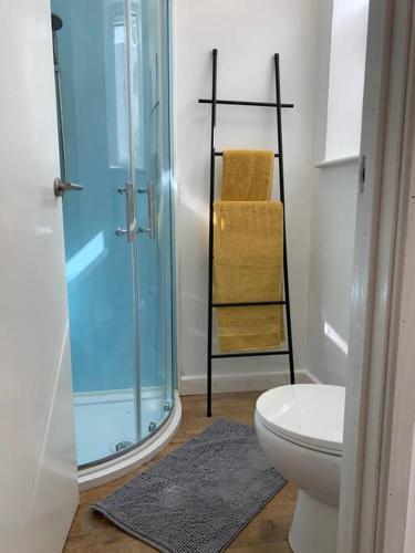 a bathroom with a glass shower and a toilet at Studio flat, parking, Filton in Bristol