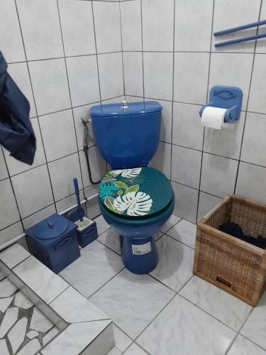 a bathroom with a blue toilet with a flower painted on it at Studio accueillant à Baie Mahault, 22 m², piscine partagée. in Baie-Mahault