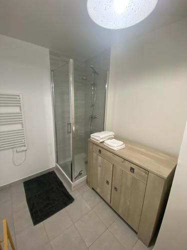a bathroom with a shower and a sink and a toilet at Appartement Confort in Vélizy-Villacoublay