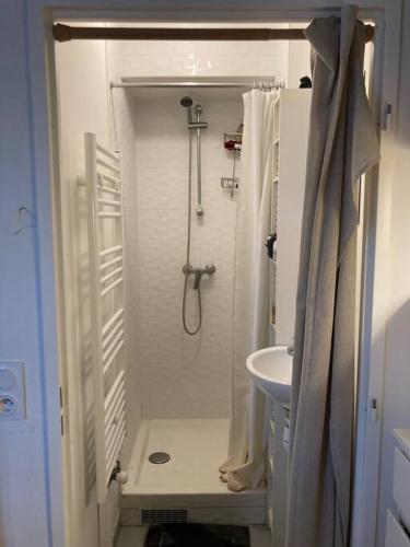 La petite salle de bains est pourvue d'une douche et d'un lavabo. dans l'établissement Olympic Village - Sunny Dupleix, à LʼÎle-Saint-Denis