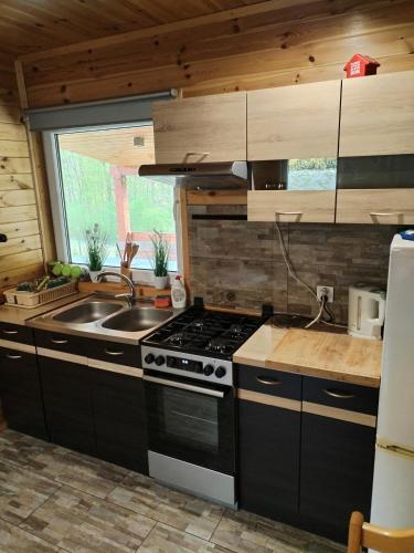 a kitchen with a stove and a sink at ROZTOCZE, Domek Na Leśnym Wzgórzu, Zwierzyniec, Krasnobród,Zamość in AdamÃ³w
