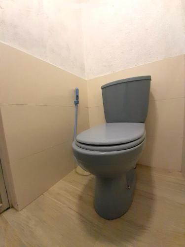 a bathroom with a toilet in a room at Townside Lodge in Nuwara Eliya