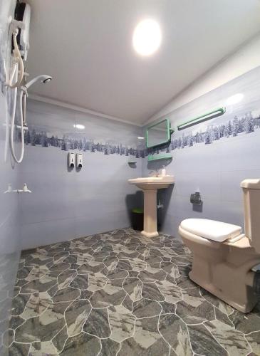 a bathroom with a toilet and a sink at Townside Lodge in Nuwara Eliya