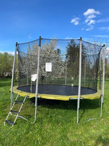Kancsal Harcsa Panzió és Halászcsárda 4487 Tiszatelek, Tiszahát utca 3. kép - 3