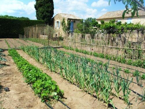 Taman di luar gite de caractere au calme au milieu des vignes avec piscine et jaccuzi